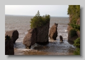 Hopewell Rocks_2005_157